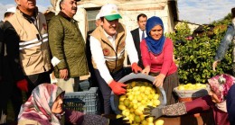 VALİ ALİ HAMZA PEHLİVAN’IN KATILIMIYLA ERDEMLİ İLÇEMİZDE LAMAS LİMONU HASADI BAŞLATILDI