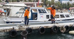 289 Metreküp Atık, Çöp Kutusu Yerine Denize Atılmış !!!!