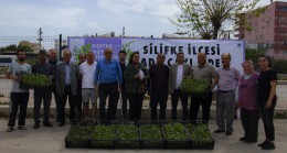 Silifkeli Üreticiler Yeniden Ada Çayı Fidesi İle Buluştu