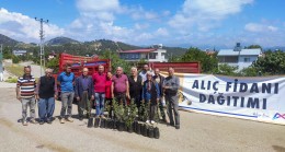 Mersin Büyükşehir, Mersin Tarımına Alıç Fidanı İle Can Suyu Oluyor