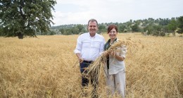 Başkan Seçer Atalık Sarı Buğday Hasat Töreni’ne Katıldı