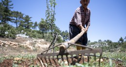 Büyükşehir’in Desteği İle Üretici Nefes Alıyor