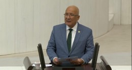KOCAMAZ:”Çed Gerekli Değildir Kararını Uygun Buluyor musunuz?”