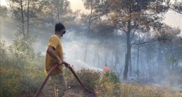 Orman Yangınlarına Neden Oldukları Gerekçesiyle 1 Haftada 7 Şüpheli Gözaltına Alındı