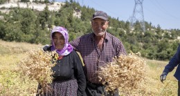 Büyükşehir, Toprağa Bereket Katmaya Devam Ediyor