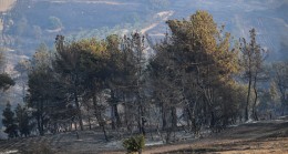 Çanakkale’deki Orman Yangını Kontrol Altına Alındı
