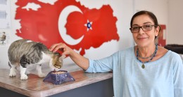 Kısırlaştırma İşlemleri Yerel Hayvan Koruma Görevlileri İle Birlikte Yürütülüyor