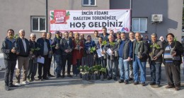 Büyükşehir’den Üreticilere ‘İncir Fidanı’ Desteği