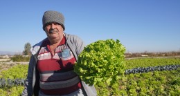 TARSUS BELEDİYESİ, YERLİ TOHUMLARLA TARIMA VE ÇİFTÇİYE CAN VERİYOR