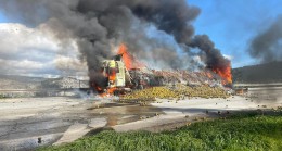 NARENCİYE YÜKLÜ TIR OTOYOLDA YANDI