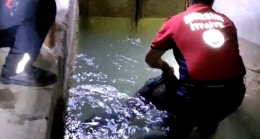 Tarsus’ta Sulama Kanalında Erkek Cesedi Bulundu