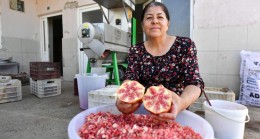 Büyükşehir’den Bir İlk: Nar Taneleme Makinesi