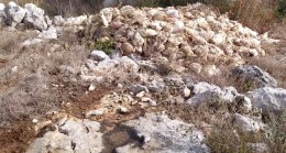 Tarsus’ta Şok: Boş Arazide Yüzlerce Ölü Tavuk Bulundu