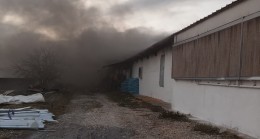 Tarsus’ta tavuk üretim çiftliğinde çıkan yangında binlerce civciv telef oldu