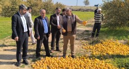HÜDA PAR Heyeti Tarsus’ta Don Felaketinden Etkilenen Çiftçilerle Buluştu