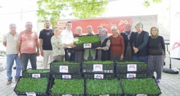 Büyükşehir Gülnar’da 105 Bin Domates Fidesi Dağıttı