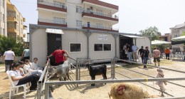 Mersin Büyükşehir’le Kurban Kesimi Hem Hijyenik Hem Ücretsiz