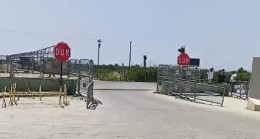 Tarsus’ta Yaklaşık 200 Mahkûm Tahliye Edildi