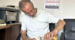 Tarsus Çatalburun Köpeği Lisa’dan 13 Yavru