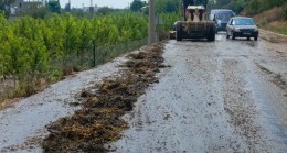YOLA DÖKÜLEN ÜZÜMLER BÜYÜKŞEHİR EKİPLERİNCE TEMİZLENDİ