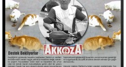 Vedat Taşgıt’ın Vefatının Ardından Tarsus’ta Sokak Hayvanları Yetim Kaldı