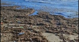 Tarsusluların Yoğun Kullandığı “Adanalıoğlu Sahili Bataklığa Döndü”