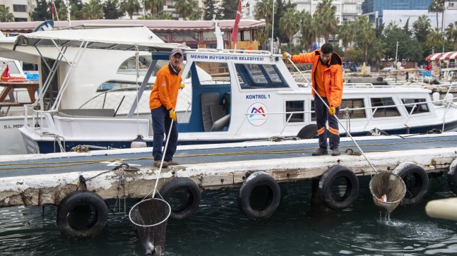 289 Metreküp Atık, Çöp Kutusu Yerine Denize Atılmış !!!!