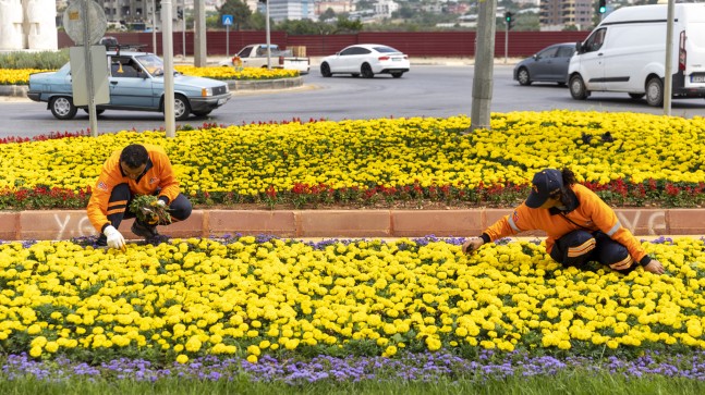 Büyükşehir Yaz Mevsimini Rengarenk Çiçeklerle Karşılıyor