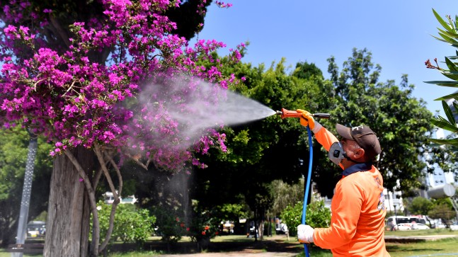 Mersin Büyükşehir Haşere İle Mücadeleyi Sürdürüyor