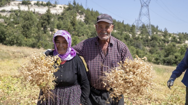 Büyükşehir, Toprağa Bereket Katmaya Devam Ediyor