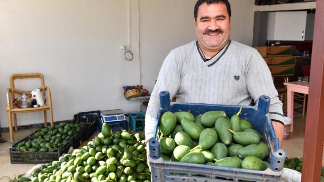 Büyükşehir, Üreticilere Alternatif Gelir Kapıları Oluşturmaya Devam Ediyor