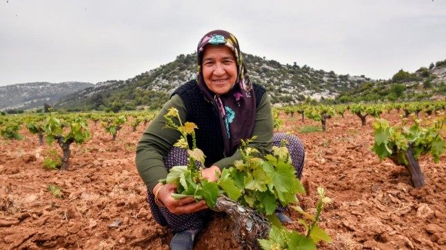 Üreticiler Büyükşehir’le Rahat Nefes Alıyor