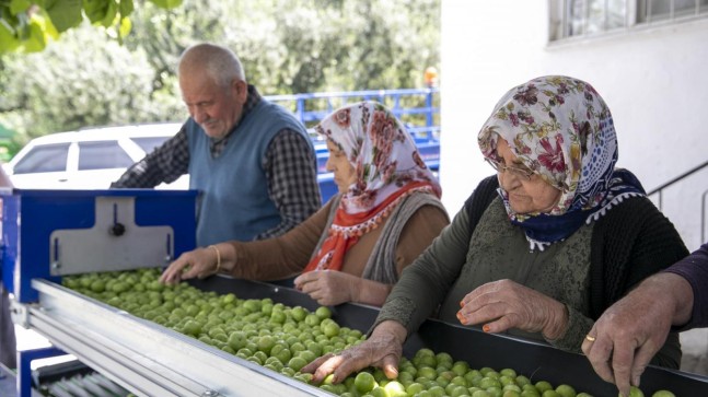 Üreticiler Büyükşehir’in Desteği ile Hem Zaman Hem Maddi Kazanç Sağlıyor