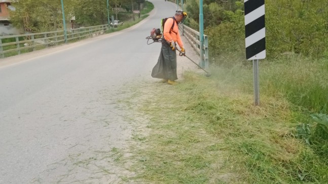 BÜYÜKŞEHİR EKİPLERİ ÇAMLIYAYLA’DA TEMİZLİK VE ZARARLILARLA MÜCADELE ÇALIŞMALARINI HIZLANDIRDI