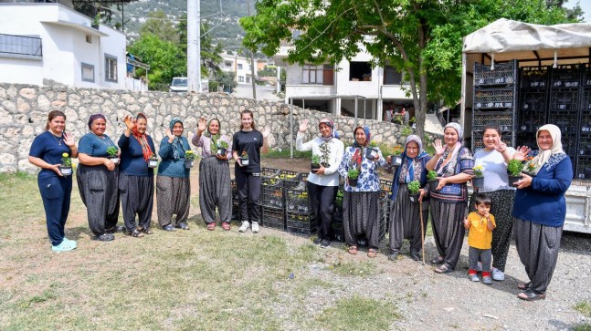 Büyükşehir Sinekle Mücadelede Tıbbi ve Aromatik Bitkileri de Kullanıyor