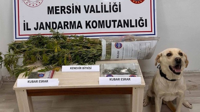 Jandarmadan Uyuşturucu Madde Operasyonu “7” Gözaltı