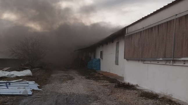 Tarsus’ta tavuk üretim çiftliğinde çıkan yangında binlerce civciv telef oldu