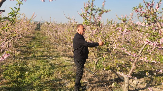 Ali İLK : “Bölgemizde Tarihinde Görülmemiş Bir Don Vakası Yaşanıyor, Hükümetin acilen bölgemizi afet alanı ilan etmesi gerekiyor. “