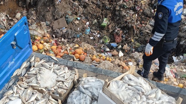Tarsus’ta Halk Sağlığını Tehdit Eden Balıklar İmha Edildi