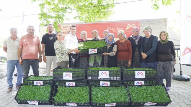 Büyükşehir Gülnar’da 105 Bin Domates Fidesi Dağıttı