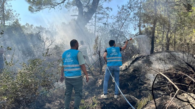 Ülkü Ocakları’ndan Orman Yangınlarıyla Mücadeleye Tam Destek: “Yeşil Vatanımıza Sahip Çıkıyoruz”