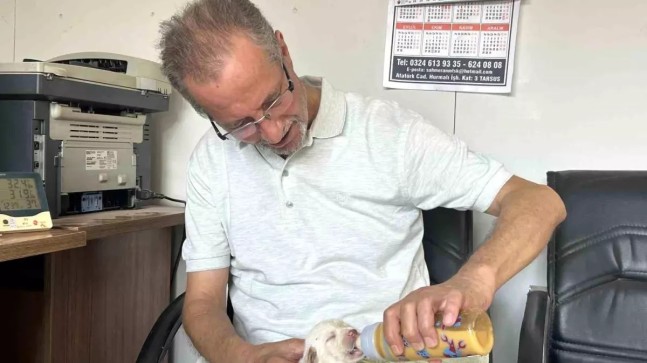 Tarsus Çatalburun Köpeği Lisa’dan 13 Yavru