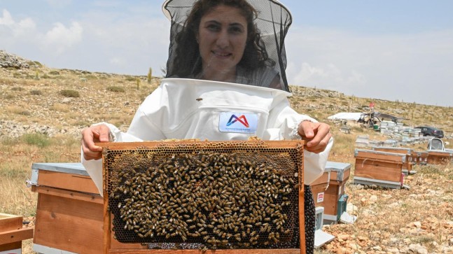 Büyükşehir’in Tarım Destekleri Sayesinde Seher Tipi Hayallerine Kavuştu
