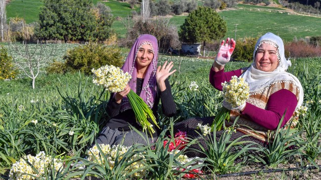 1. Nergis Şenliği Hazırlıkları Devam Ediyor