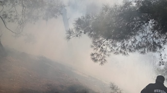 Boğazpınar Mahallesi’nde Yangın