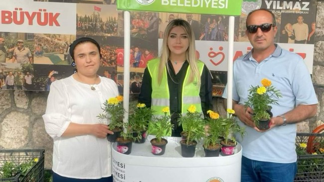 TOROSLAR BELEDİYESİNİN KADİFE ÇİÇEKLERİ, SAHİPLERİNE ULAŞTIRILDI