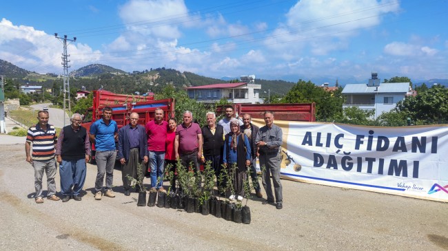 Mersin Büyükşehir, Mersin Tarımına Alıç Fidanı İle Can Suyu Oluyor