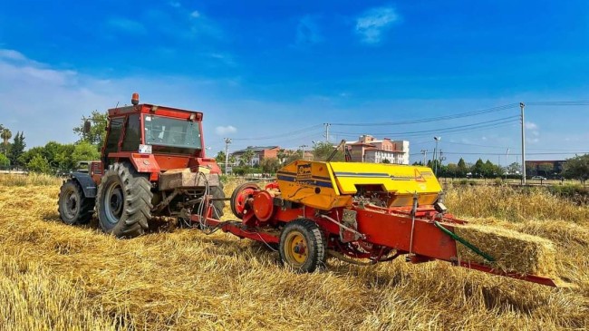 HAYVAN ÜRETİCİLERİNE MÜJDE: TARSUS BELEDİYESİ HİBE DESTEKLİ YEM DAĞITIMINA BAŞLADI