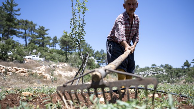 Büyükşehir’in Desteği İle Üretici Nefes Alıyor