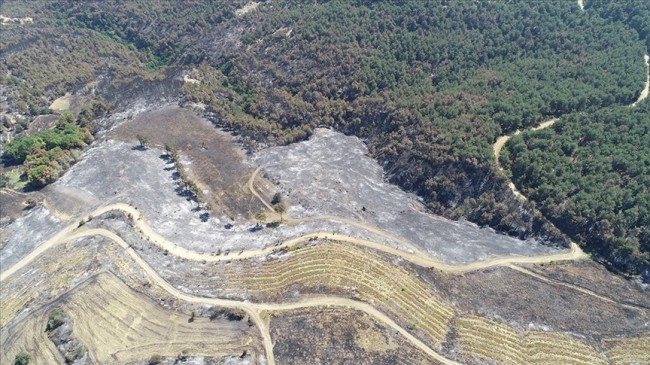 Çanakkale’deki Yangında 2 bin 500 Hektar Alanın Zarar Gördüğü Belirlendi